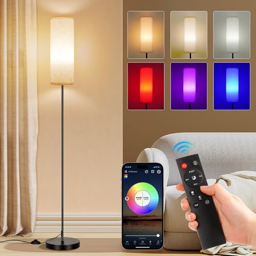 FRIDEKO HOME Floor Lamp, 9W 800LM Color Kit